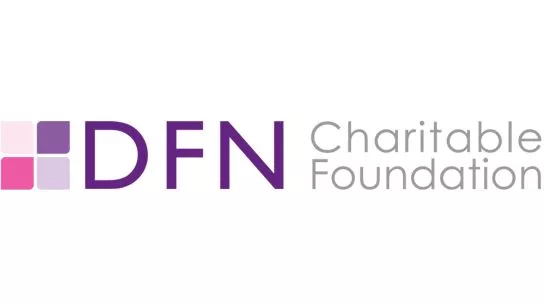 Logo of the DFN Charitable Foundation. It is a square divided into 4 cubes in shades of pink and purple